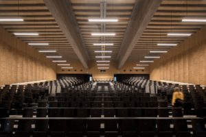 Salle amphithéâtre en bois avec éclairage linéaire directe